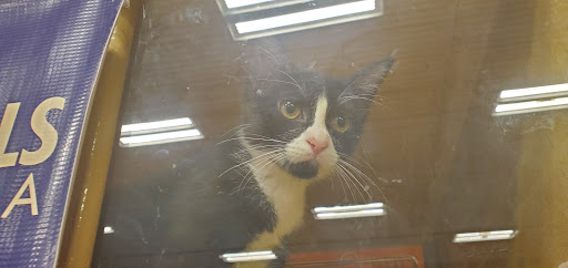 Pet Supply Store «PetSmart», reviews and photos, 3101 Market Center Drive, Morrisville, NC 27560, USA