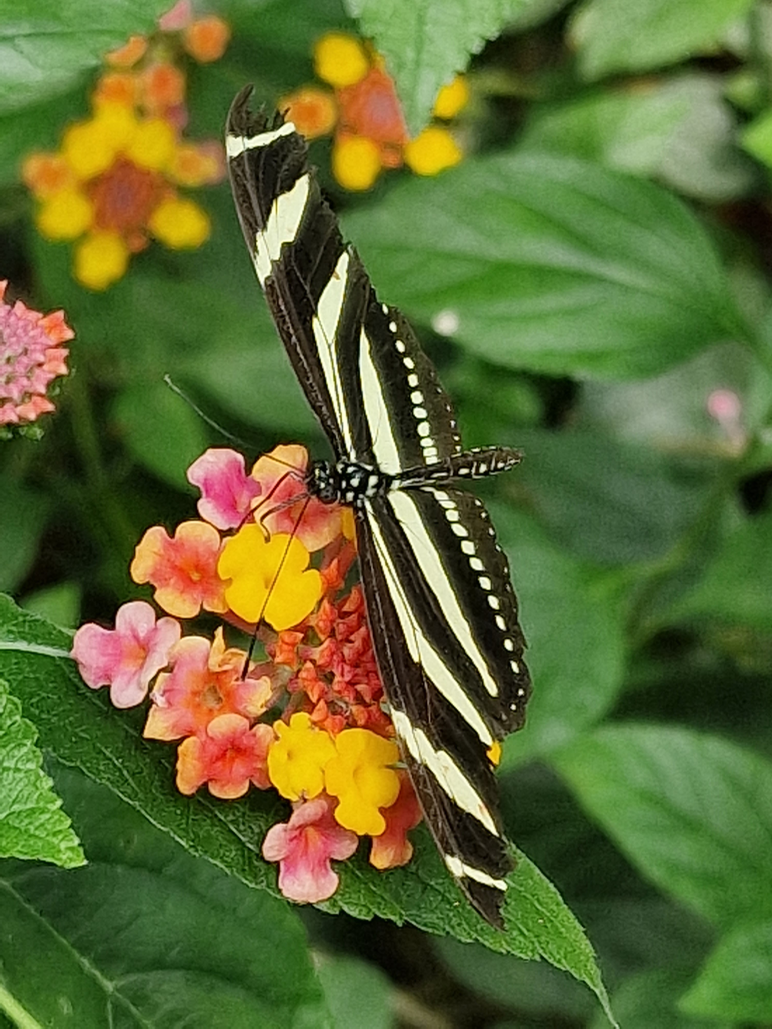 Photo n° 3 de l'avis de elodie.u fait le 09/07/2023 à 15:02
