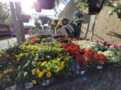 Home Improvement Store «The Home Depot», reviews and photos, 6001 Madison Ave, Carmichael, CA 95608, USA