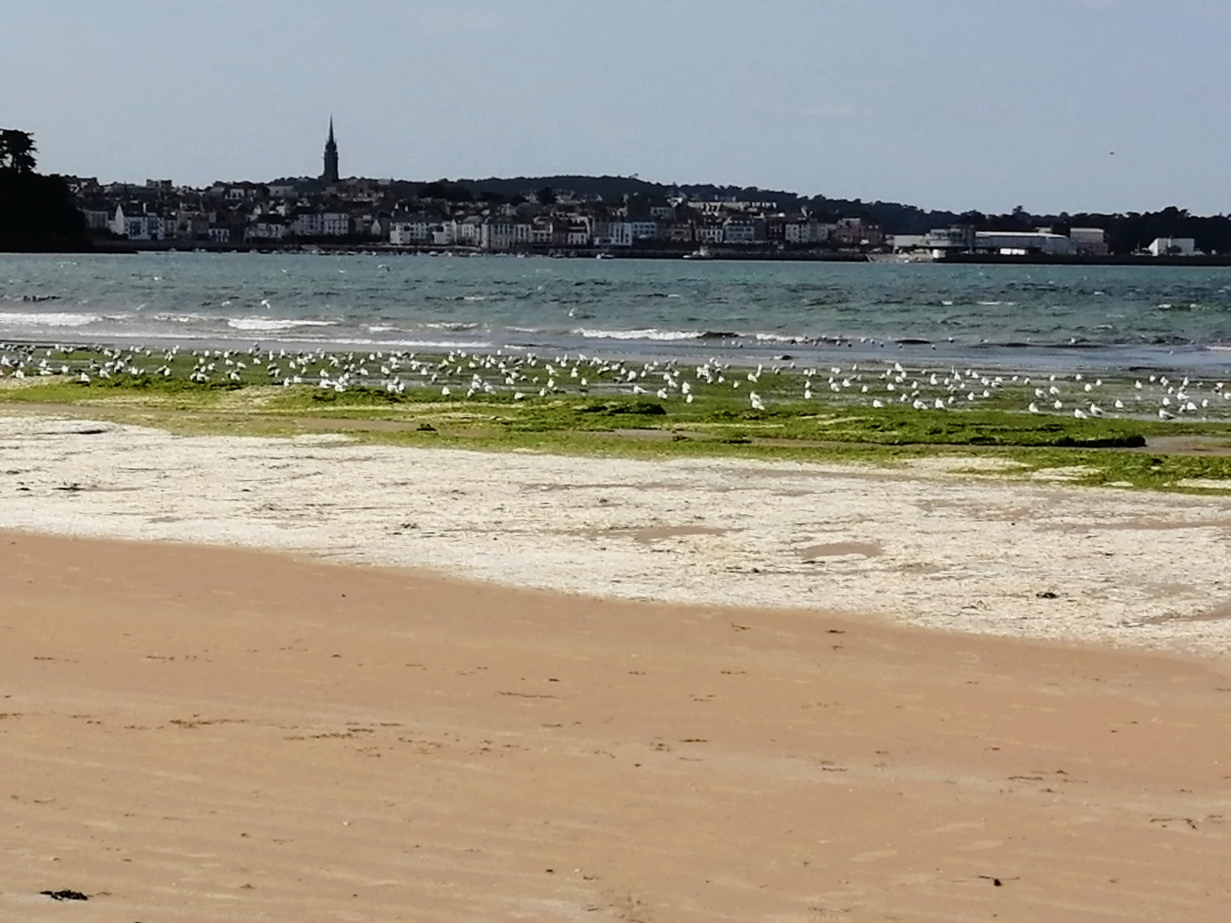 Photo n° 1 de l'avis de Christophe.O fait le 15/09/2019 à 09:42