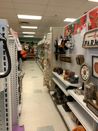 Fabric Store «Jo-Ann Fabrics and Crafts», reviews and photos, 153 E Swedesford Rd, Wayne, PA 19087, USA