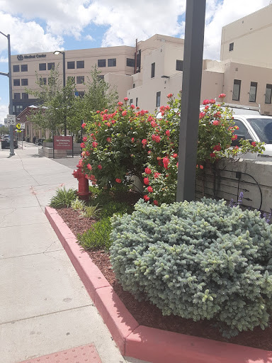 975 Kirman Ave, Reno, NV 89502, USA