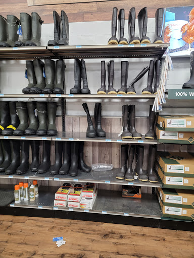 Home Improvement Store «Tractor Supply Co.», reviews and photos, 5940 New Jesup Hwy, Brunswick, GA 31523, USA