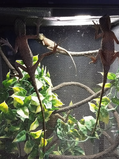 Shopping Mall «Chester Shopping Mall», reviews and photos, 23 W Main St, Chester, NJ 07930, USA