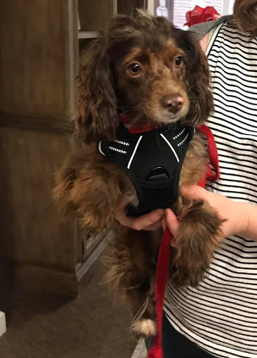 Insurance Agency «Amy Williams - State Farm Insurance Agent», reviews and photos