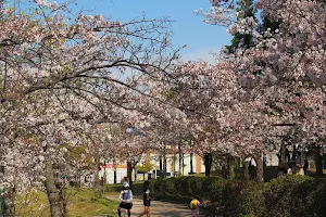 Takatsuka District Park image