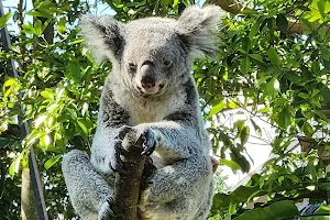 Koala House image