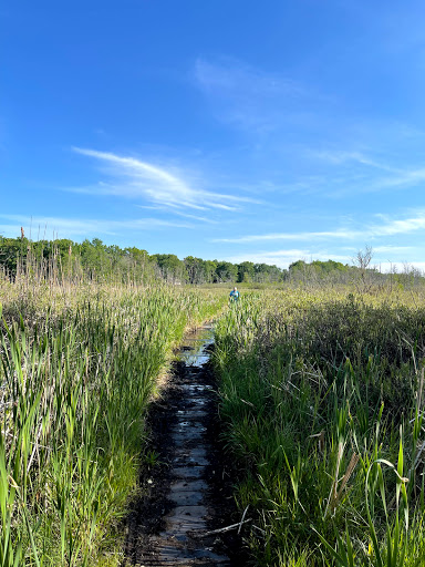 Nature Preserve «Eliason Nature Reserve», reviews and photos, 9501 Shaver Rd, Portage, MI 49024, USA