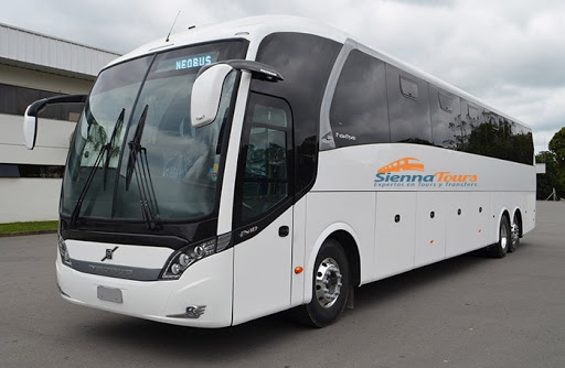 Transporte Sienna Tour