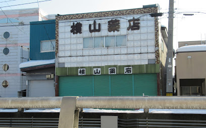 横山薬店