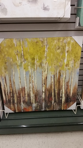 Craft Store «Hobby Lobby», reviews and photos, 2003 E Greyhound Pass, Carmel, IN 46033, USA