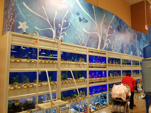 Pet Supply Store «PetSmart», reviews and photos, 4045 Dowlen Rd, Beaumont, TX 77706, USA