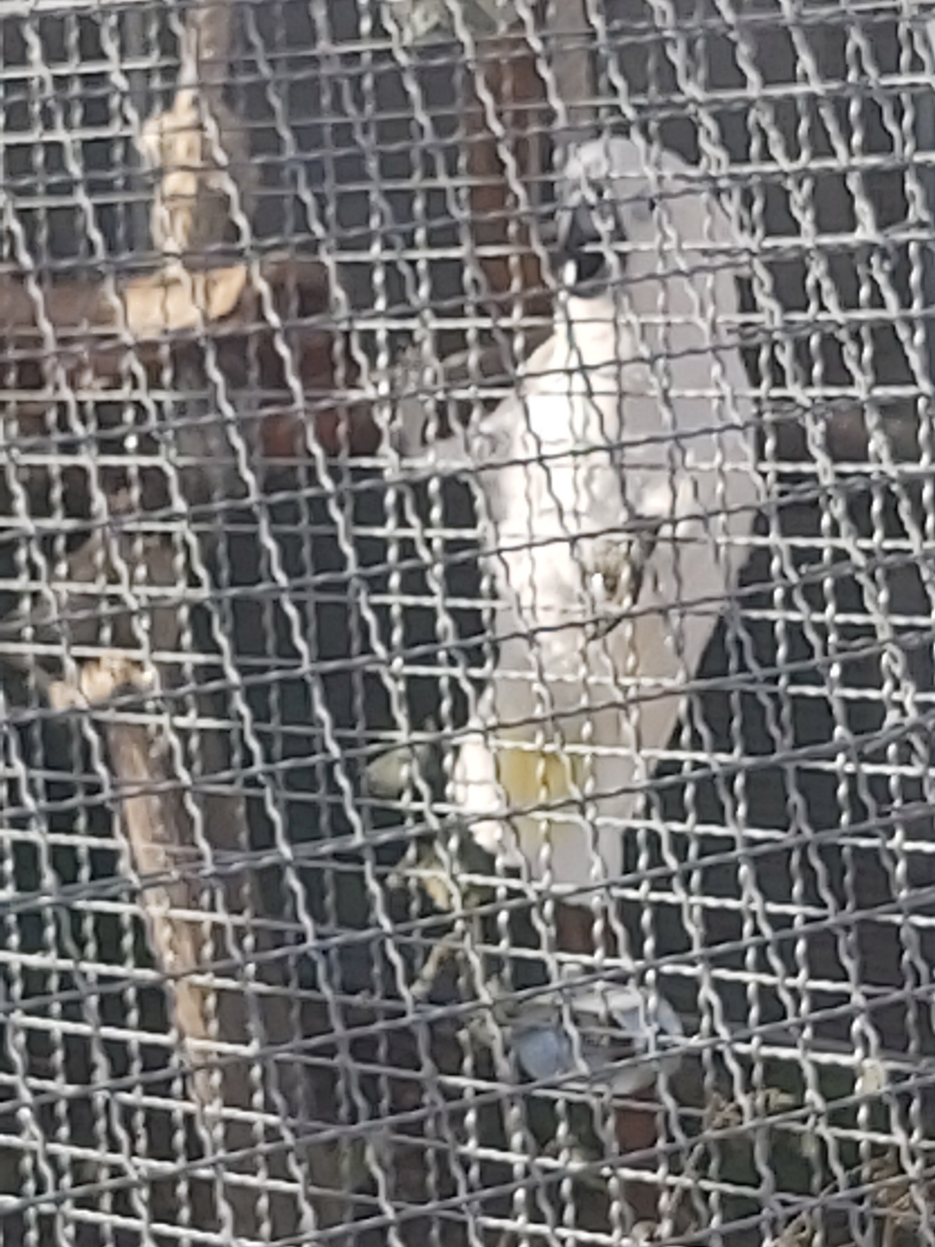 Photo n° 41 de l'avis de Laetitia.e fait le 23/10/2020 à 16:30