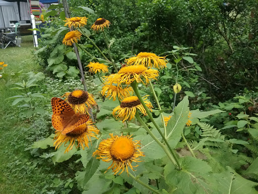 Gift Shop «Stonehedge Gardens», reviews and photos, 51 Dairy Rd, Tamaqua, PA 18252, USA
