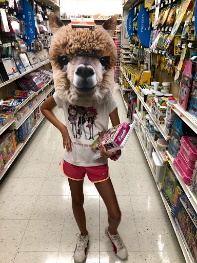 Craft Store «Michaels», reviews and photos, 540 Frandor Ave, Lansing, MI 48912, USA