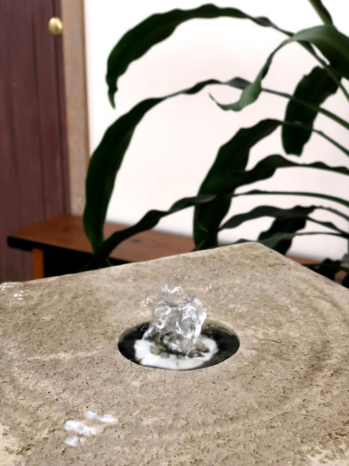 Dantian Health - Dantian Health