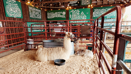 Amusement Center «Maris Farms», reviews and photos, 25001 Sumner Buckley Hwy, Buckley, WA 98321, USA