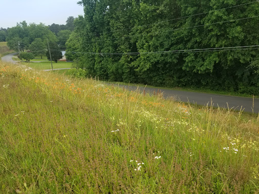 Battle Site «Allatoona Pass Battlefield», reviews and photos, Old Allatoona Rd SE, Cartersville, GA 30121, USA