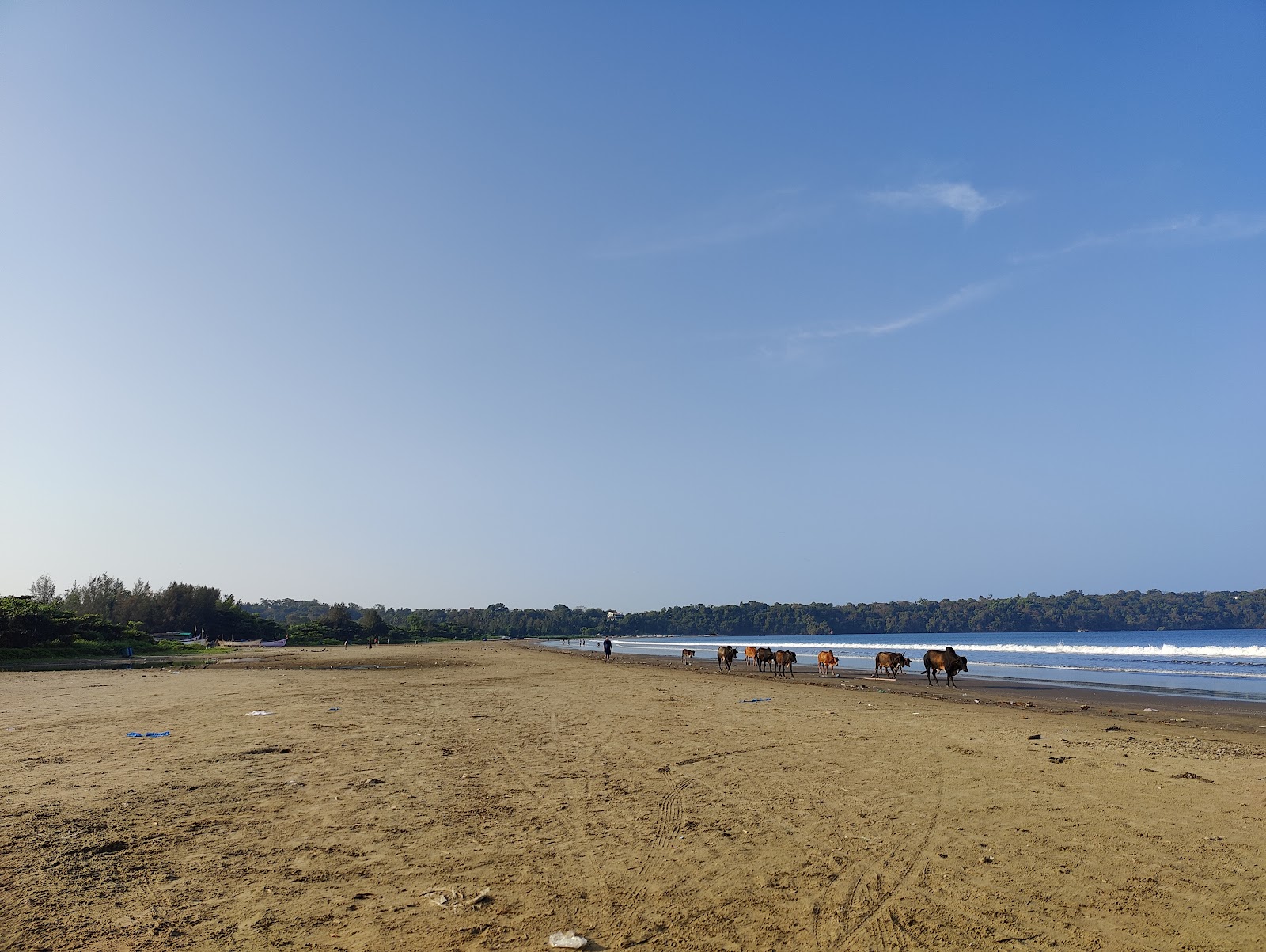 Photo de Caranzalem Beach zone des équipements