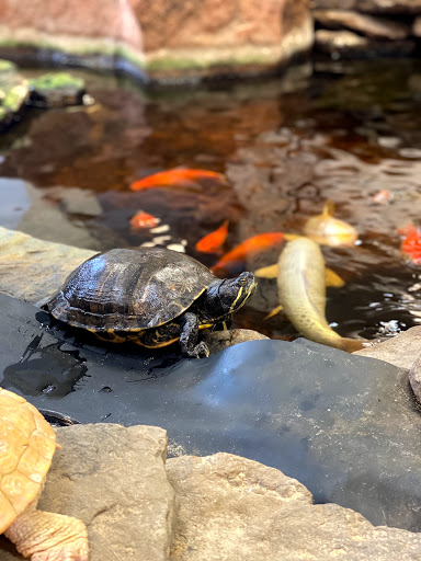 Landscaping Supply Store «Kirkwood Material Supply», reviews and photos, 800 S Fillmore Ave, Kirkwood, MO 63122, USA