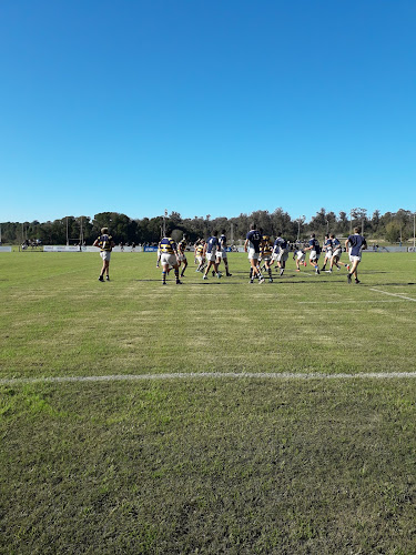 Opiniones de Lobos Rugby Club en Maldonado - Campo de fútbol