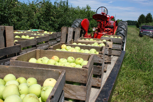 Orchard «Tuttle Orchards», reviews and photos, 5717 N 300 W, Greenfield, IN 46140, USA