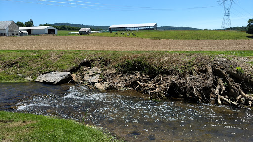Tourist Attraction «Crystal Grottoes Caverns», reviews and photos, 19821 Shepherdstown Pike, Boonsboro, MD 21713, USA