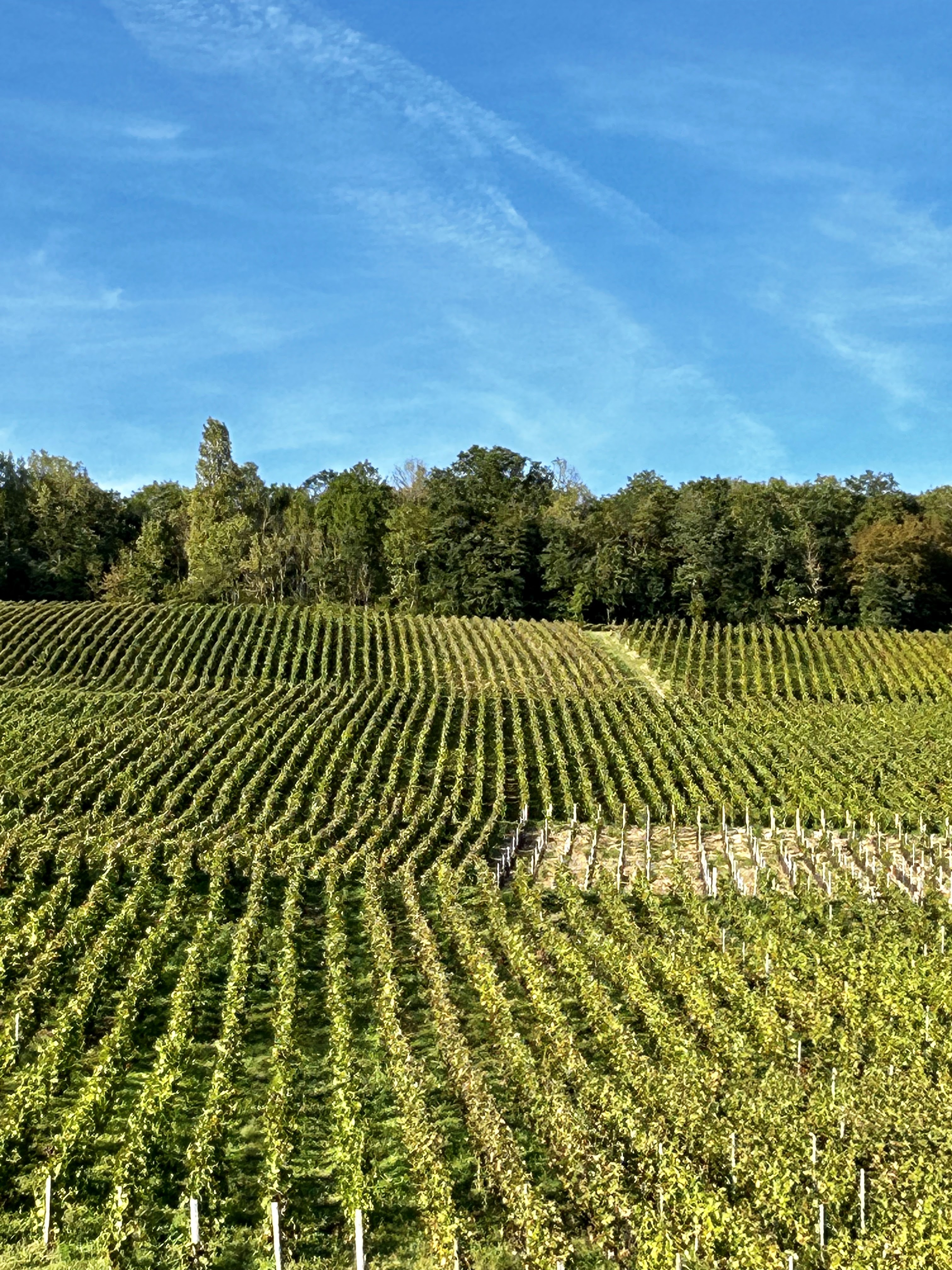 Photo n° 3 de l'avis de C.M fait le 08/01/2023 à 14:17