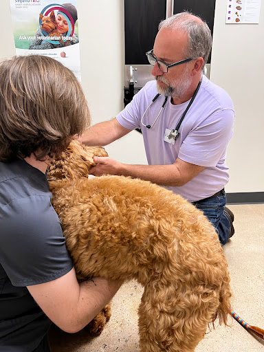 Vetco Total Care Animal Hospital image