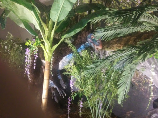 Event Venue «Springfield Expo», reviews and photos, 635 E St Louis St, Springfield, MO 65806, USA