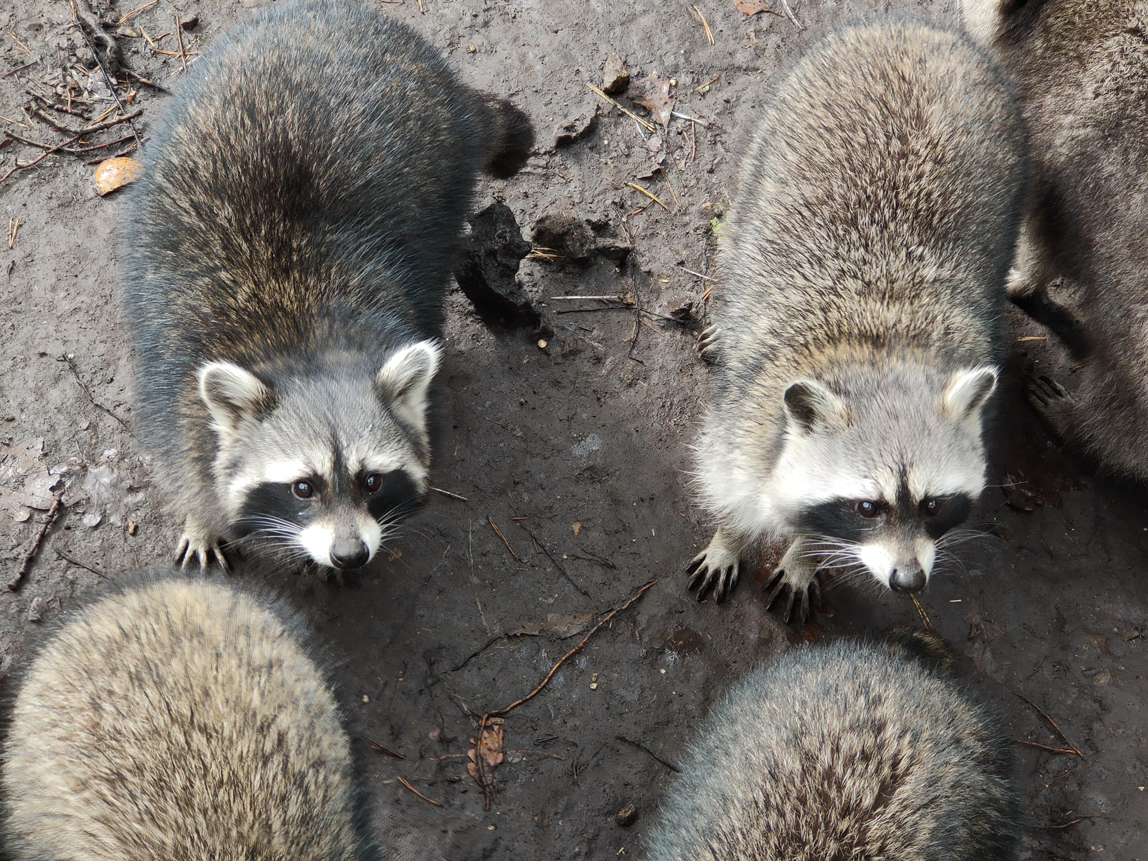 Photo n° 5 de l'avis de LexPo.T fait le 28/10/2023 à 22:23