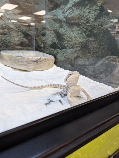 Pet Supply Store «Petco Animal Supplies», reviews and photos, 1919 El Camino Real, Mountain View, CA 94040, USA