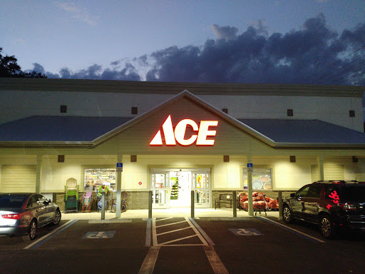 Hardware Store «Ace Hardware of Bloomingdale», reviews and photos, 505 E Bloomingdale Ave, Brandon, FL 33511, USA