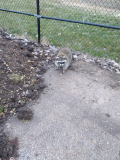 Park «Four Seasons Park Field», reviews and photos, 22500 W Lockport St, Plainfield, IL 60544, USA