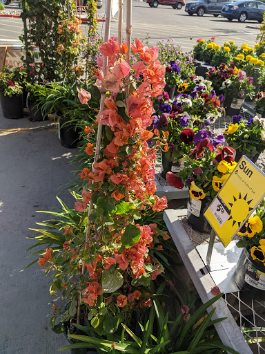 Home Improvement Store «The Home Depot», reviews and photos, 601 Woollomes Ave, Delano, CA 93215, USA