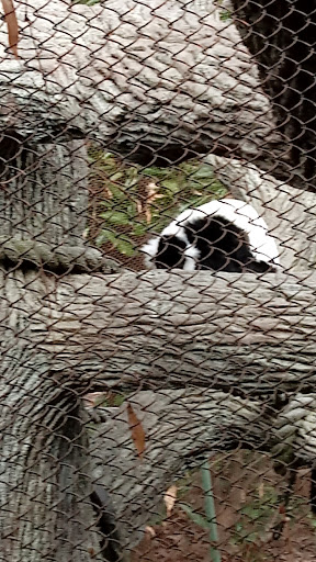 Recreation Center «Clayton County Parks & Recreation», reviews and photos, 2300 State Highway 138, Jonesboro, GA 30236, USA