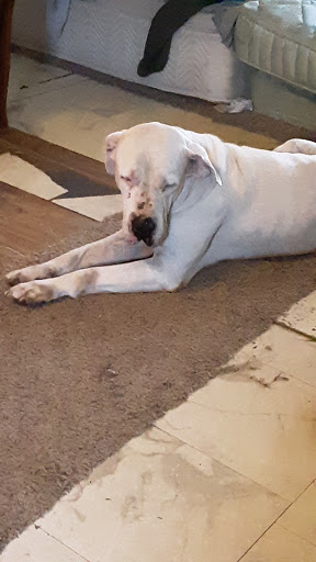 Pet Supply Store «Pet Supplies Plus», reviews and photos, 211 Golden Isles Plaza, Brunswick, GA 31520, USA