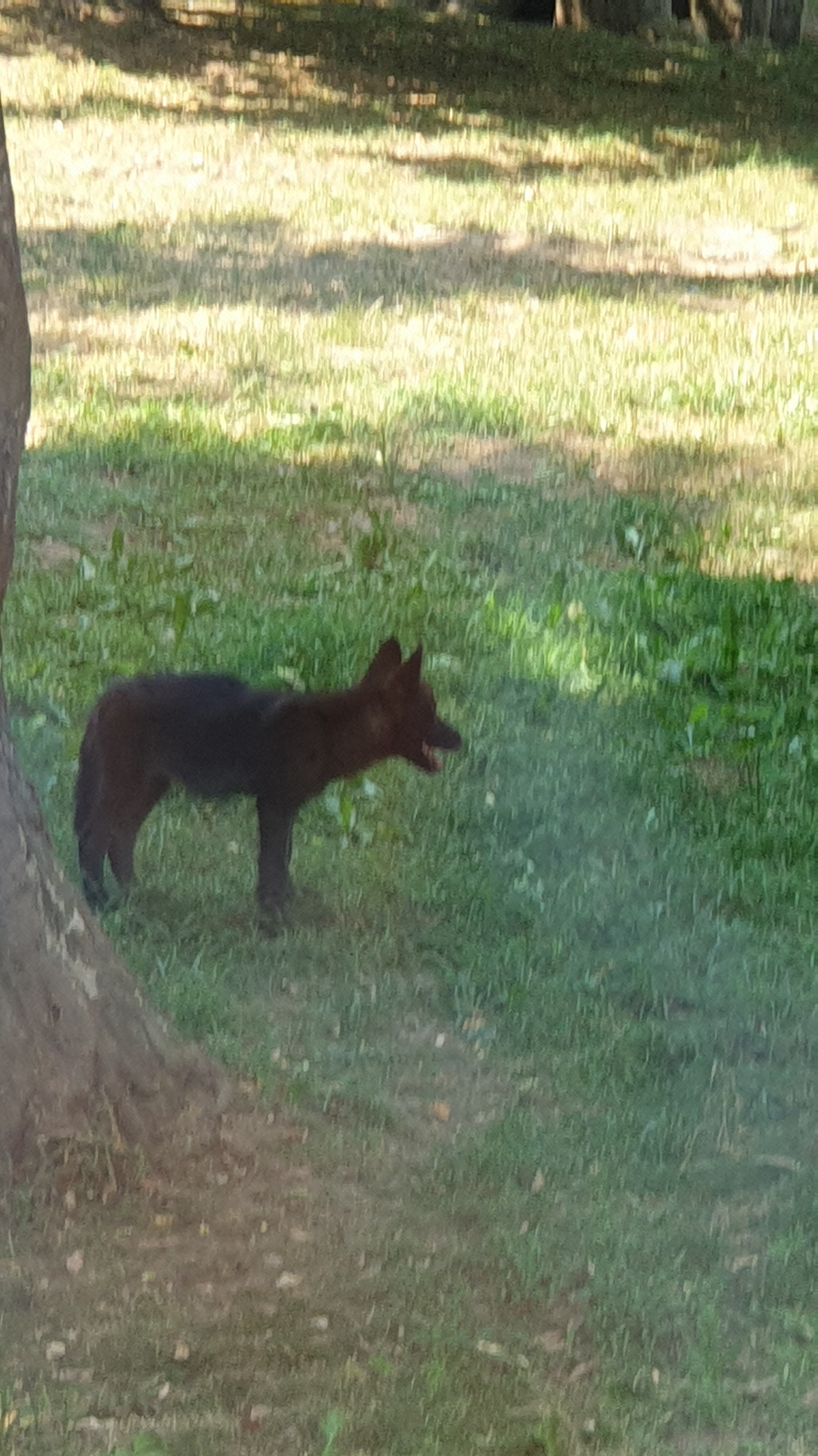 Photo n° 2 de l'avis de frédéric.e fait le 21/07/2022 à 14:28