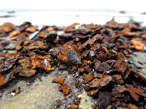 AMARBER ARQUITECTURA