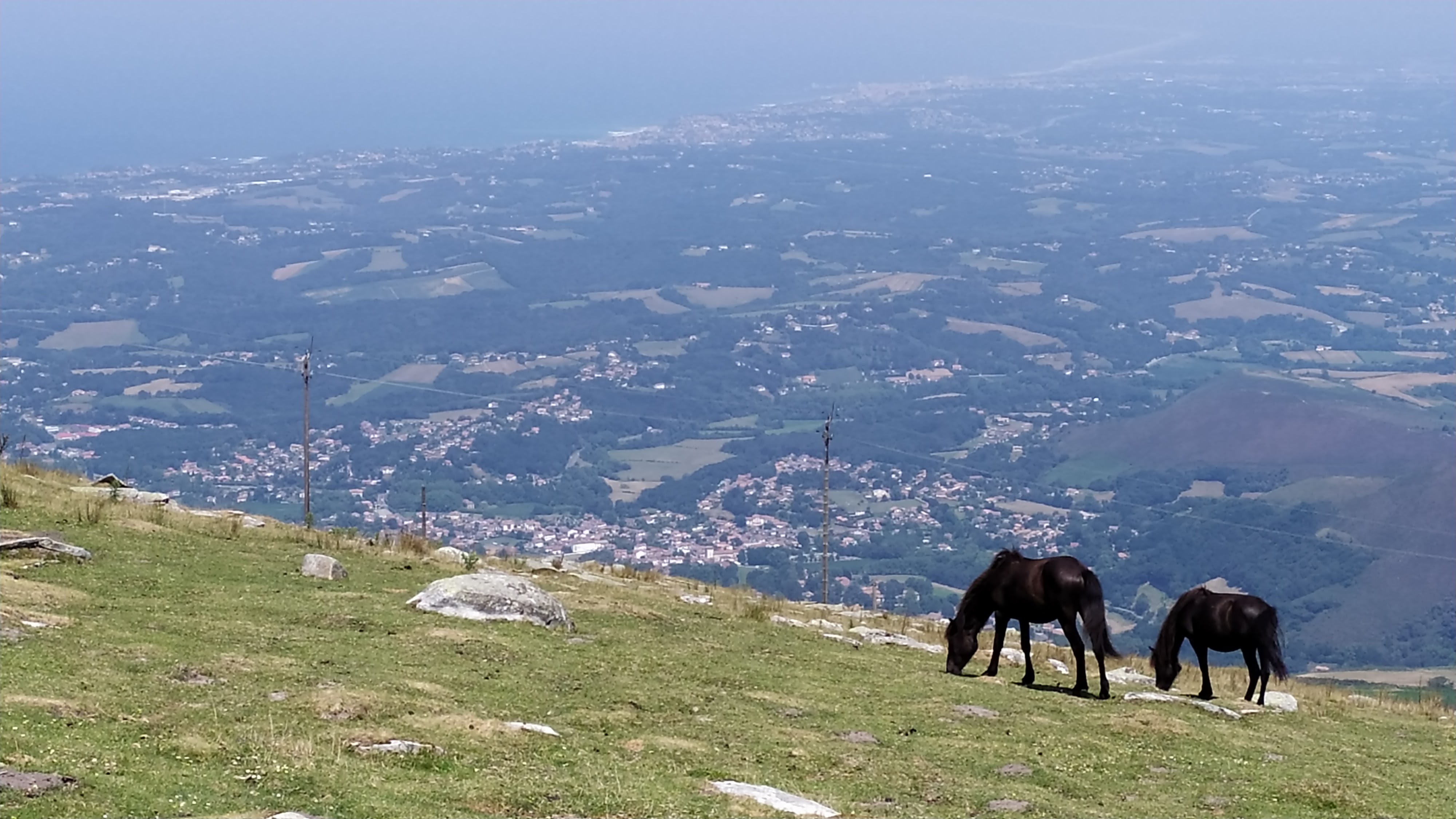 Photo n° 2 de l'avis de Yann. fait le 23/07/2022 à 15:54