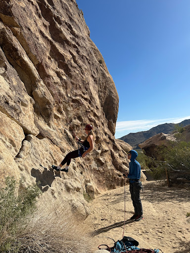 Mojave Guides - Joshua Tree Rock Climbing Guides image