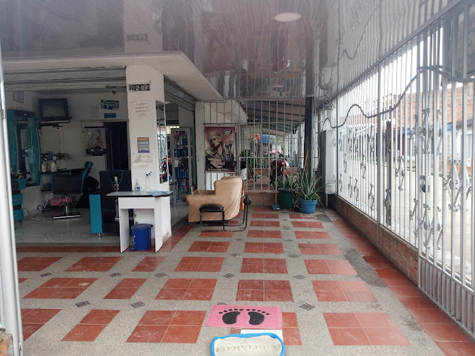 Sala De Belleza Mechis