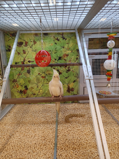 Pet Supply Store «PetSmart», reviews and photos, 2200 E Lohman Ave, Las Cruces, NM 88001, USA