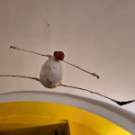 Photo n°11 de l'avis de Alberto.o fait le 06/06/2023 à 13:35 sur le  La Taverna di Santa Chiara à Naples