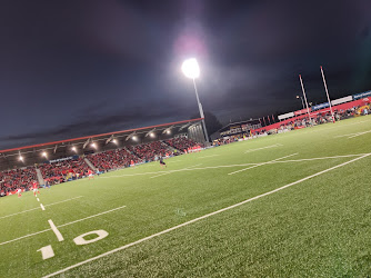 Musgrave Park