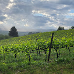 Photo n°2 de l'avis de ann.- fait le 12/05/2023 à 08:37 sur le  Villa Acquaviva Wine Resort à Saturnia