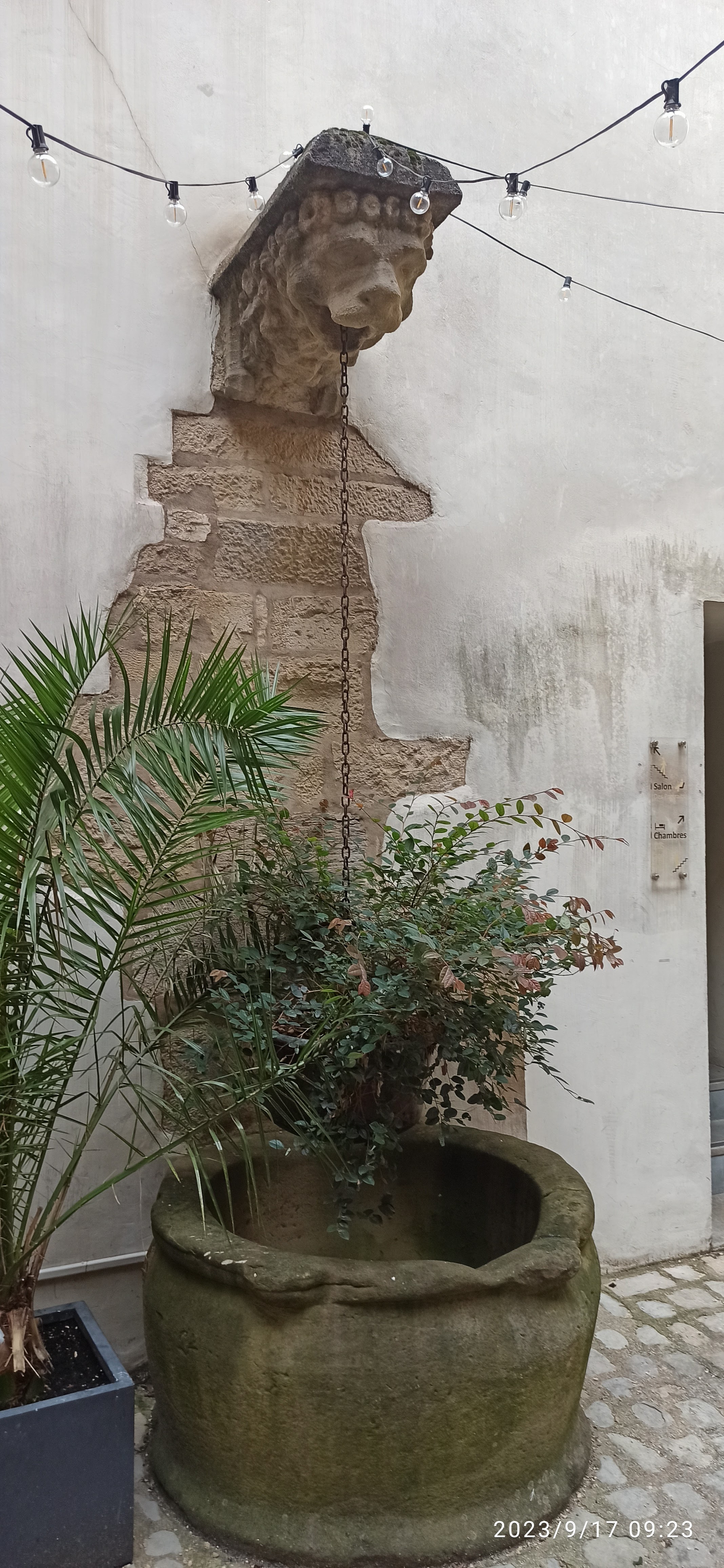 Photo n° 2 de l'avis de Laurent.e fait le 17/09/2023 à 19:11