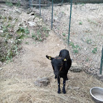 Photo n°4 de l'avis de Annamaria.a fait le 19/07/2020 à 05:15 sur le  La Ca' dell'Alpe à Rialto