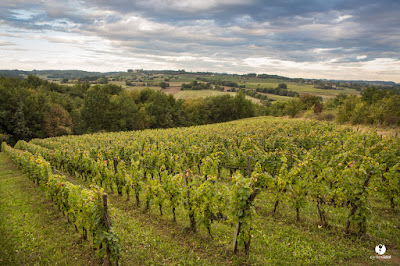 Domaine Capmartin à Maumusson-Laguian