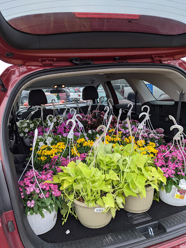 Lumber Store «Sutherlands», reviews and photos, 901 S 291st Hwy, Liberty, MO 64068, USA